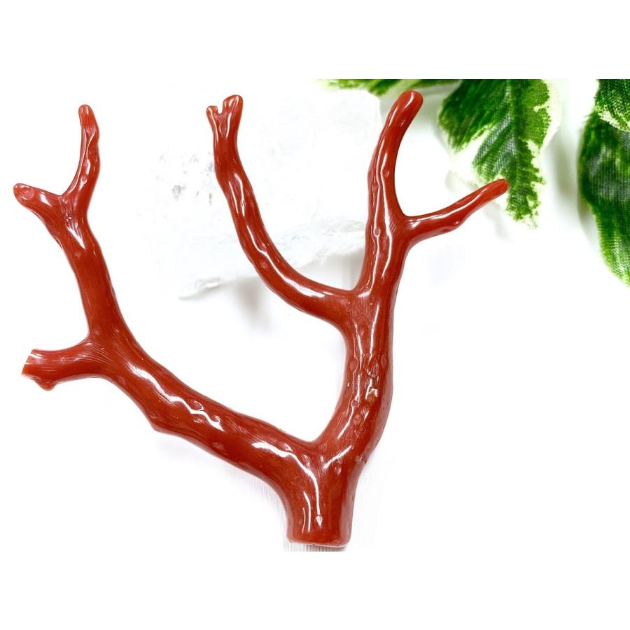 激レア！★完全天然！高発色レッド★高品質、地中海産★天然石/地中海産/胡渡珊瑚/天然赤珊瑚(レッドコーラル/胡渡珊瑚/紅さんご/サルジ/coral)/原木/1個【天然