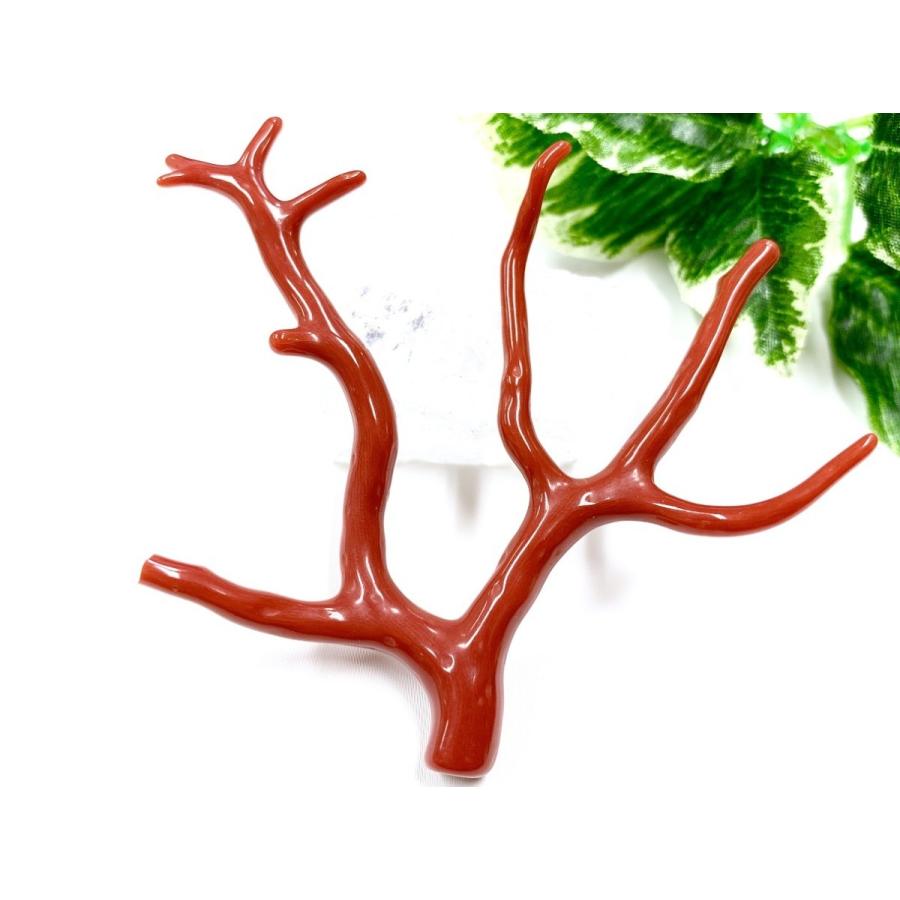 激レア！★完全天然！高発色レッド★高品質、地中海産★天然石/地中海産/胡渡珊瑚/天然赤珊瑚(レッドコーラル/胡渡珊瑚/紅さんご/サルジ/coral)/原木/1個【天然