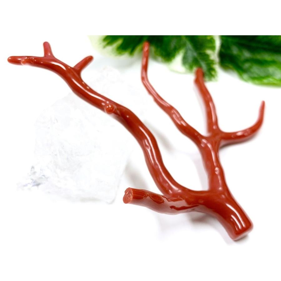 26【新品未使用】 激レア！★完全天然！高発色レッド★高品質、地中海産★天然石/地中海産/胡渡珊瑚/天然赤珊瑚(レッドコーラル/胡渡珊瑚/紅さんご/サルジ/coral)/原木/1個【天然 【CE1153241207】(40841円)