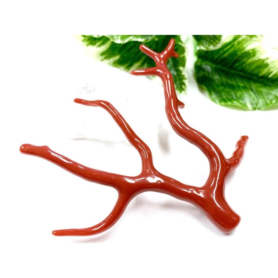 26【新品未使用】 激レア！★完全天然！高発色レッド★高品質、地中海産★天然石/地中海産/胡渡珊瑚/天然赤珊瑚(レッドコーラル/胡渡珊瑚/紅さんご/サルジ/coral)/原木/1個【天然 【CE1153241207】(40841円)