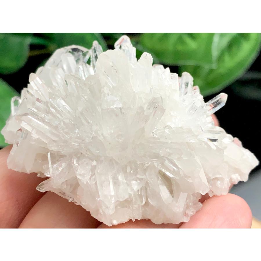 1点物】浄化・インテリア☆中国四川省産/天然原石/菊水晶/水晶 1点物】浄化・インテリア☆中国四川省産/天然原石/菊水晶/水晶