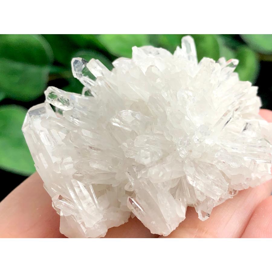 1点物】浄化・インテリア☆中国四川省産/天然原石/菊水晶/水晶 1点物】浄化・インテリア☆中国四川省産/天然原石/菊水晶/水晶