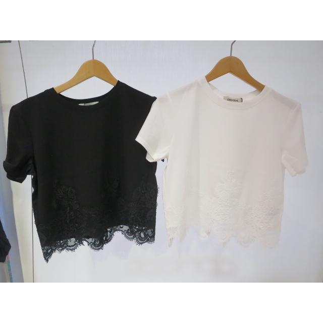 COCODEAL レースドッキングTシャツ 76221387 : shopooo by GMO - 通販