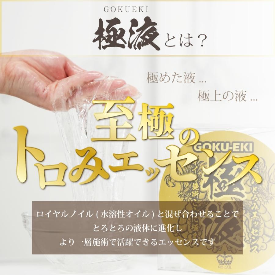 \" お得なSET \" 極液1ケース＆ロイヤルノイル(1kg) 送料込み！【エステサロン用水溶性マッサージオイル】の画像