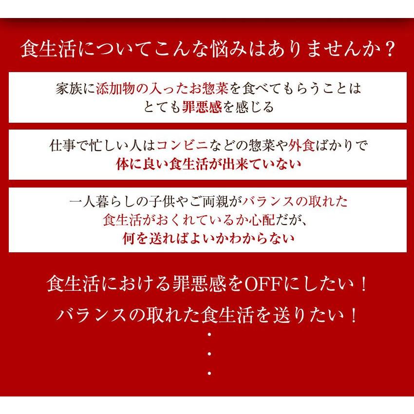 和風ポトフ 150g×1パック 【国産野菜】 無添加 梶山葉月 洋食 おかず 冷凍食品 惣菜 冷凍総菜 おつまみ お弁当 家飲み｜itempost｜03