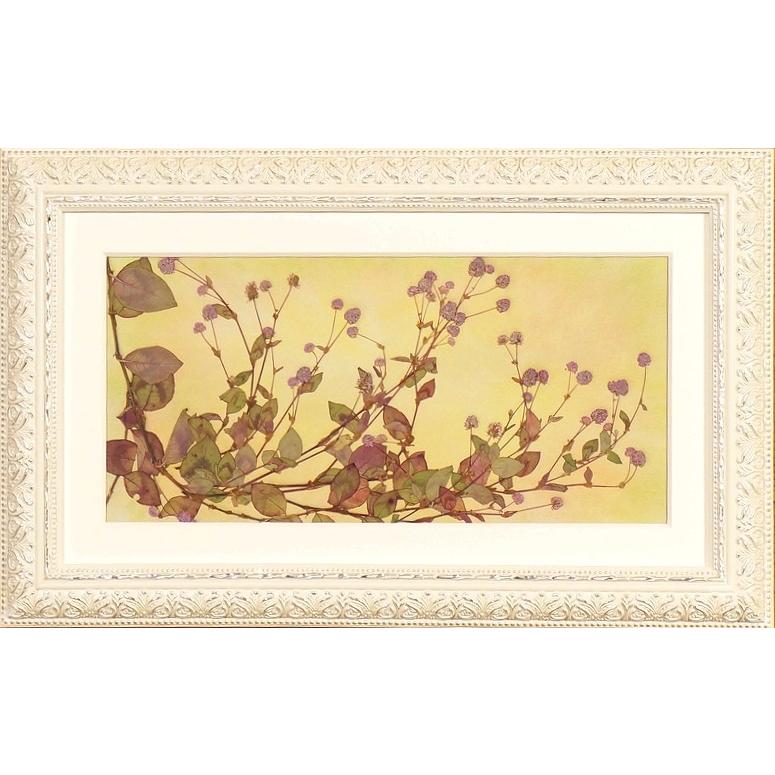 ピンクの丸い花