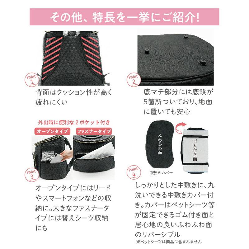 キャリーバッグ [PYCB-FL]の画像