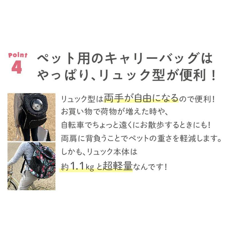 キャリーバッグ [PYCB-FL]の画像