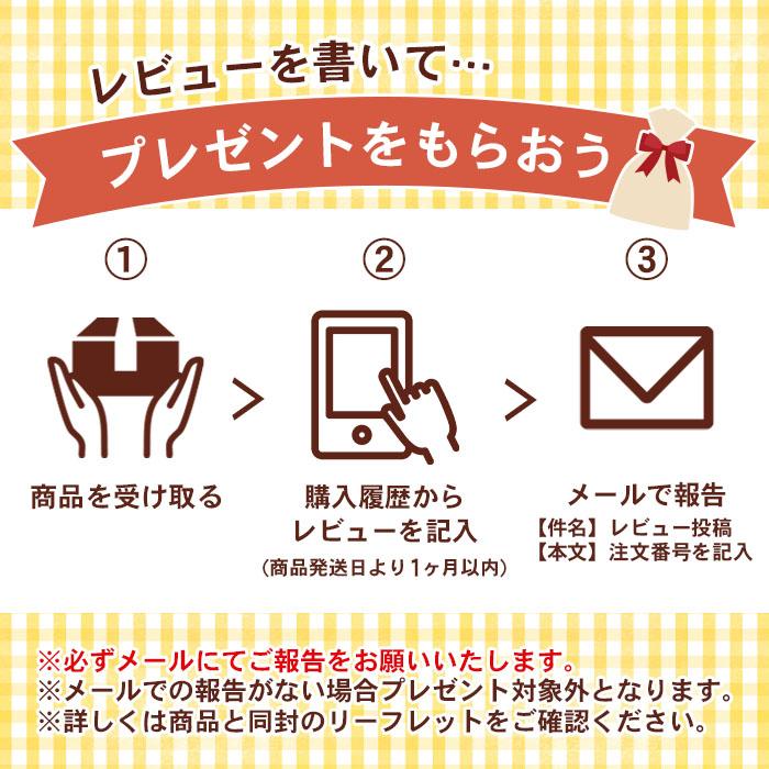 抗菌 防カビ 水回り キッチン シンク 洗面台 コーティング HOME SHIELD 抗菌プラス 500ml | ホームシールド 水垢 水まわり 超撥水 コーティング剤 撥水スプレー｜itempost｜20