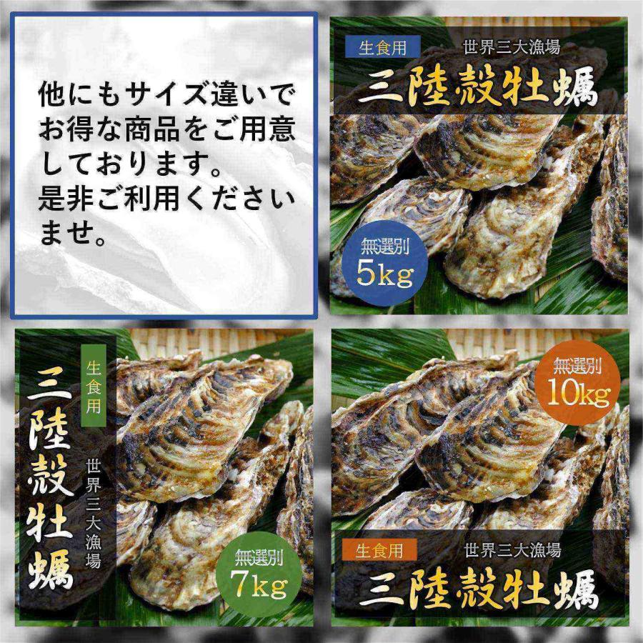 生食用 かき 三陸産 殻牡蠣 3kg 産地直送 世界三大漁場 新鮮 無選別 カキ バーベキュー パーティ 贈り物 お徳用 セール価格｜itempost｜19