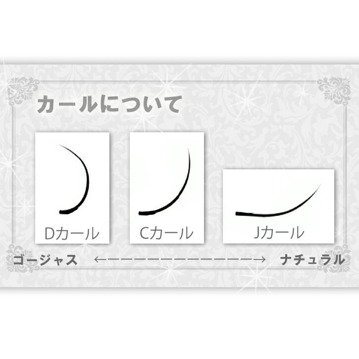 Fulaストア マツエク 新品未使用 Dカール Flap eyelashes】うる艶FFディープグロス 9mlの通販・卸売り | アイ