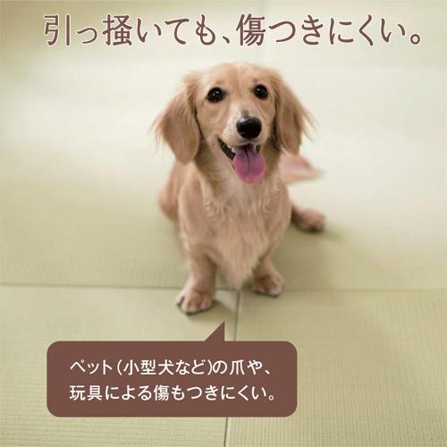 灰桜色 厚み60mmまでのサイズオーダー 【清流】大建工業(株) 健やかおもて