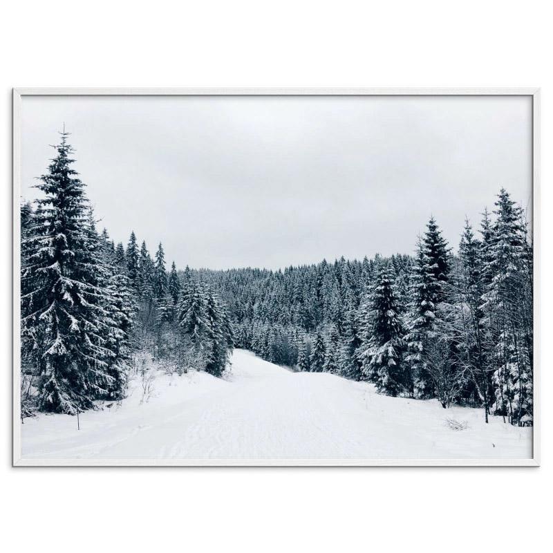 Coco Lapine Design ポスター Winter Wonderland 70x50cm ベルギー ドイツの画像