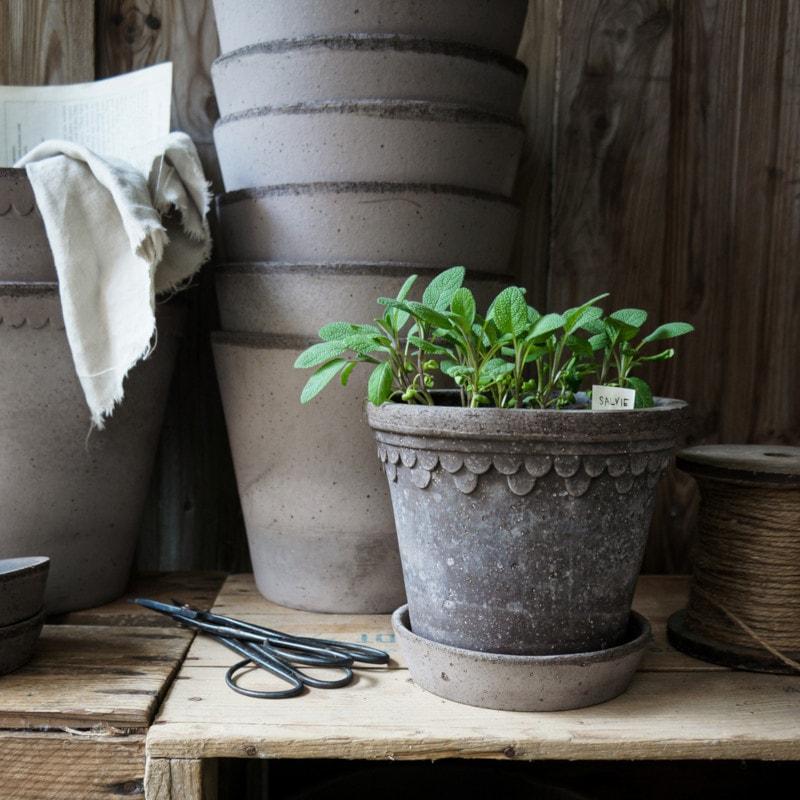 Bergs Potter 植木鉢 Copenhagen グレー φ12cm 受け皿付き Bergs Potter 植木鉢 Copenhagen グレー φ12cm 受け皿付き