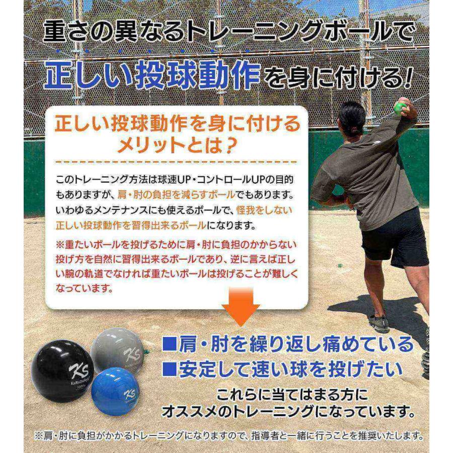 前楽天 島内宏明 ミズノプロ硬式木製バット NPBマーク入り 【公式通販】