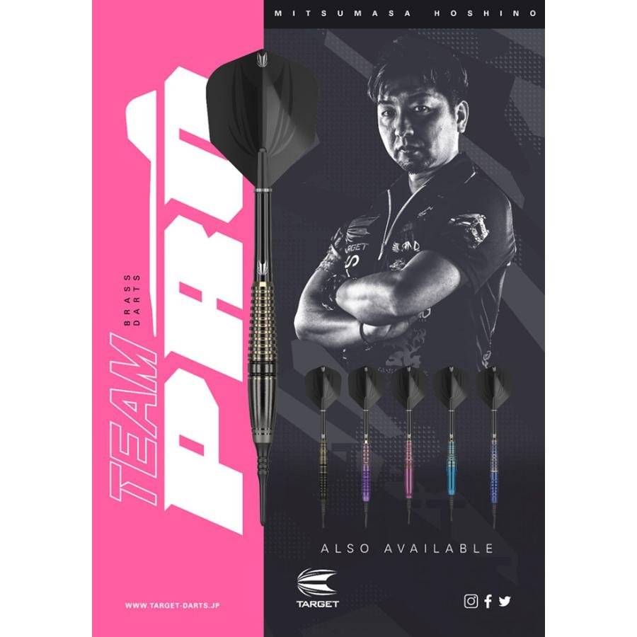 ターゲット チームプロ 星野光正 17.0g ブラス(TEAM PRO) |  | 05