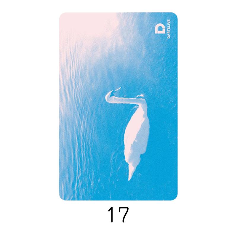 DARTSLIVE CARD #58 【ダーツライブカード】 |  | 18