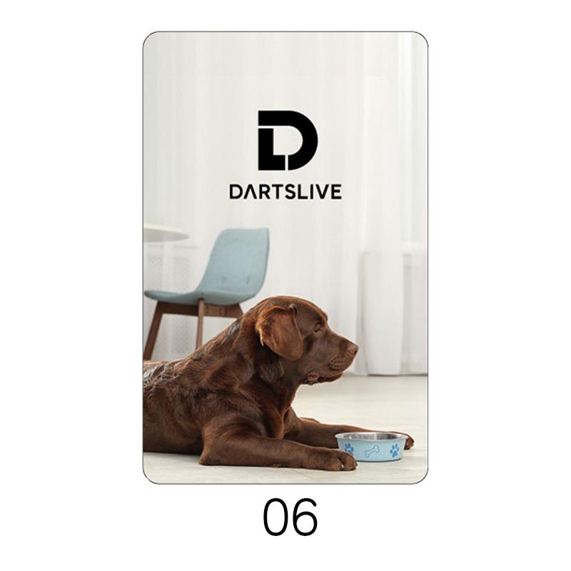 DARTSLIVE CARD #58 【ダーツライブカード】 |  | 07