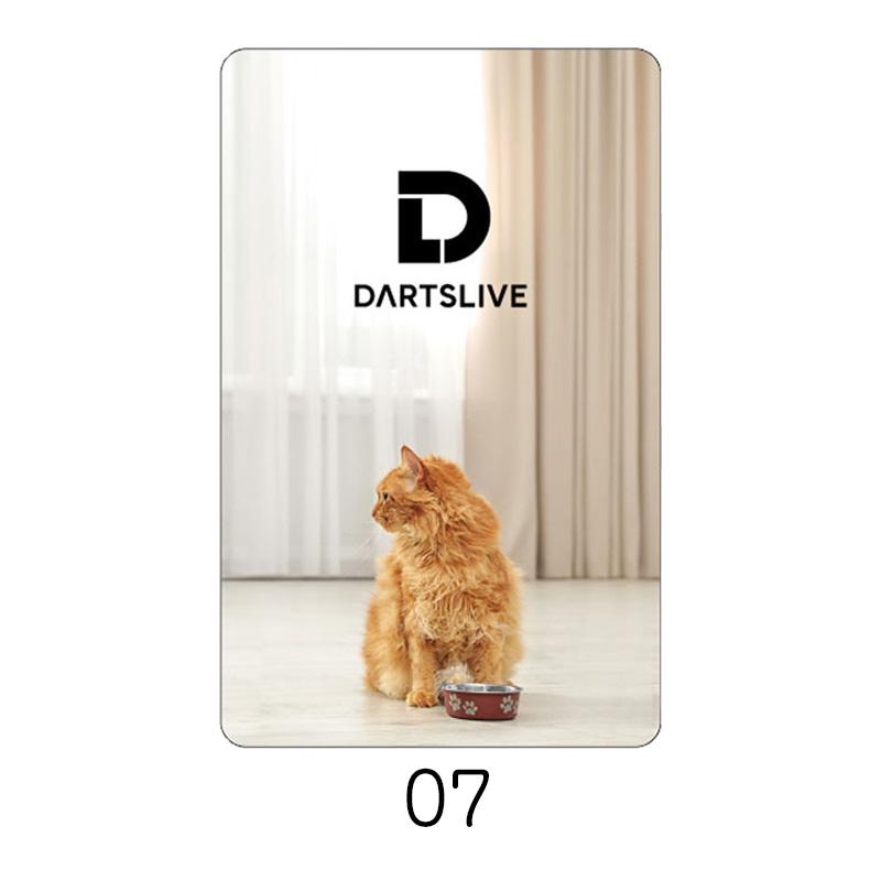 DARTSLIVE CARD #58 【ダーツライブカード】 |  | 08