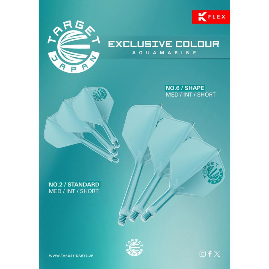 ターゲット K-FLEX シェイプ アクアマリン JPNオリジナルロゴ 限定