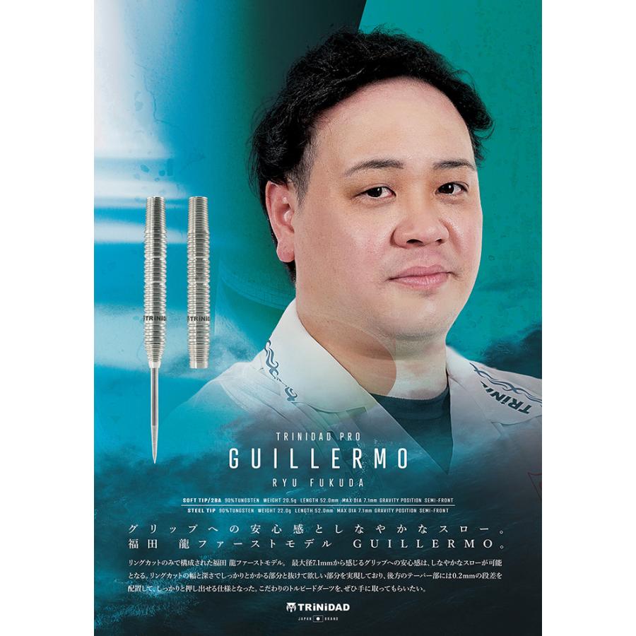 トリニダード ギレルモ 20.5g タングステン90% 福田龍選手(GUILLERMO)の画像