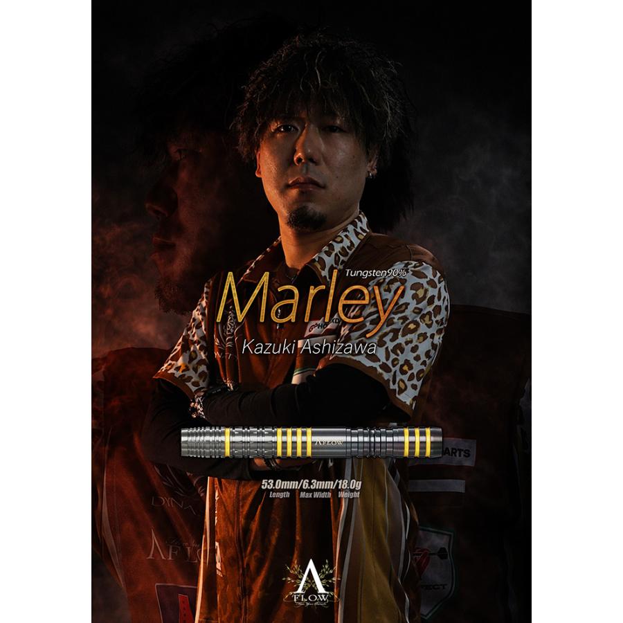 ダイナスティー マーリー 18g タングステン90% 芦沢一輝選手(Marley)_4