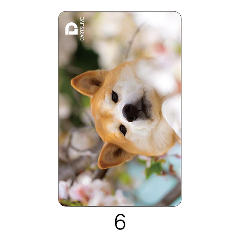 DARTSLIVE CARD #60 【ダーツライブカード】 : shopooo by GMO - 通販