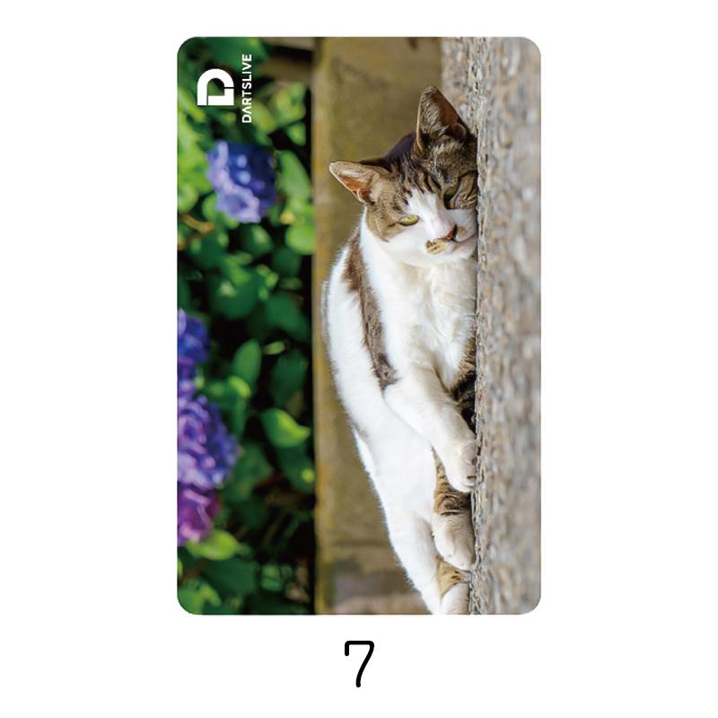 DARTSLIVE CARD #60 【ダーツライブカード】 : shopooo by GMO - 通販