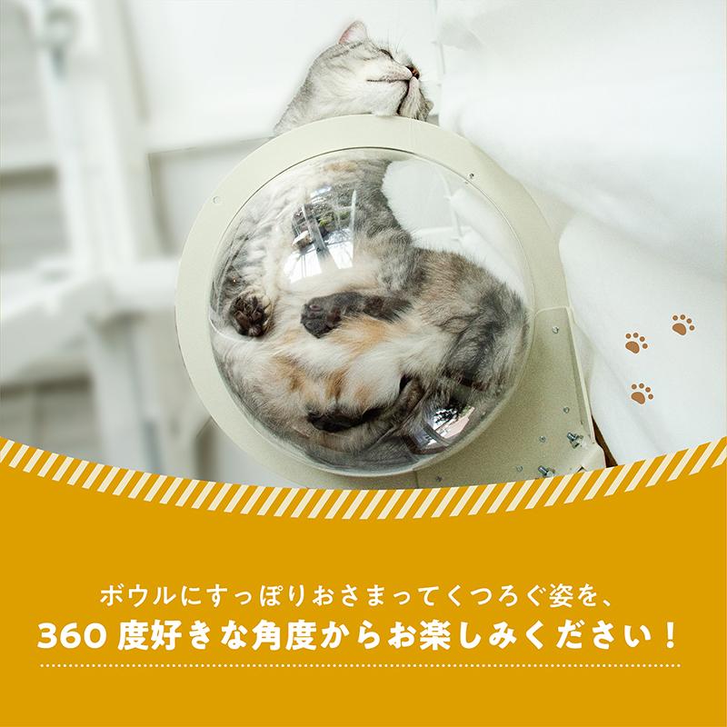 【公式】キャットタワー専用 クリアボウル【ねこゴロン】｜itempost｜04