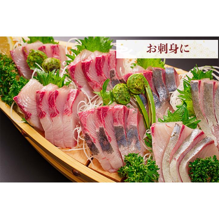 現品 天鷹唐辛子 荒挽10mmメッシュパス 1kg 5 Materialworldblog Com