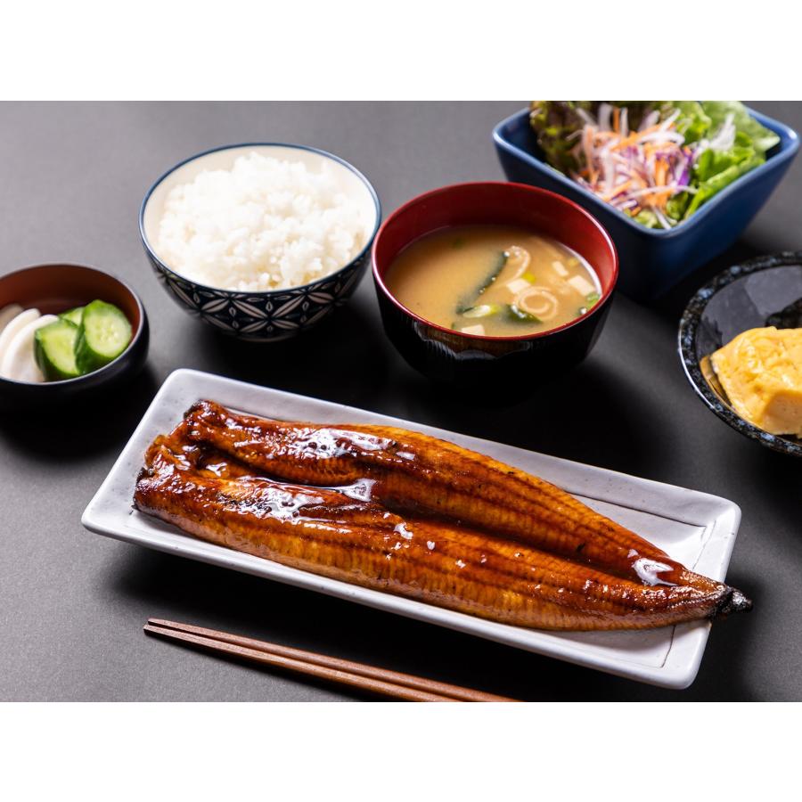 【業務用・仕入れ】うなぎ蒲焼 端材500g/20パック入り（中国産）｜株式会社ウナソカゴ　うなぎ蒲焼　中国産 ふわふわうなぎ　端材　500ｇ　20パック/10kgs/ケー_11