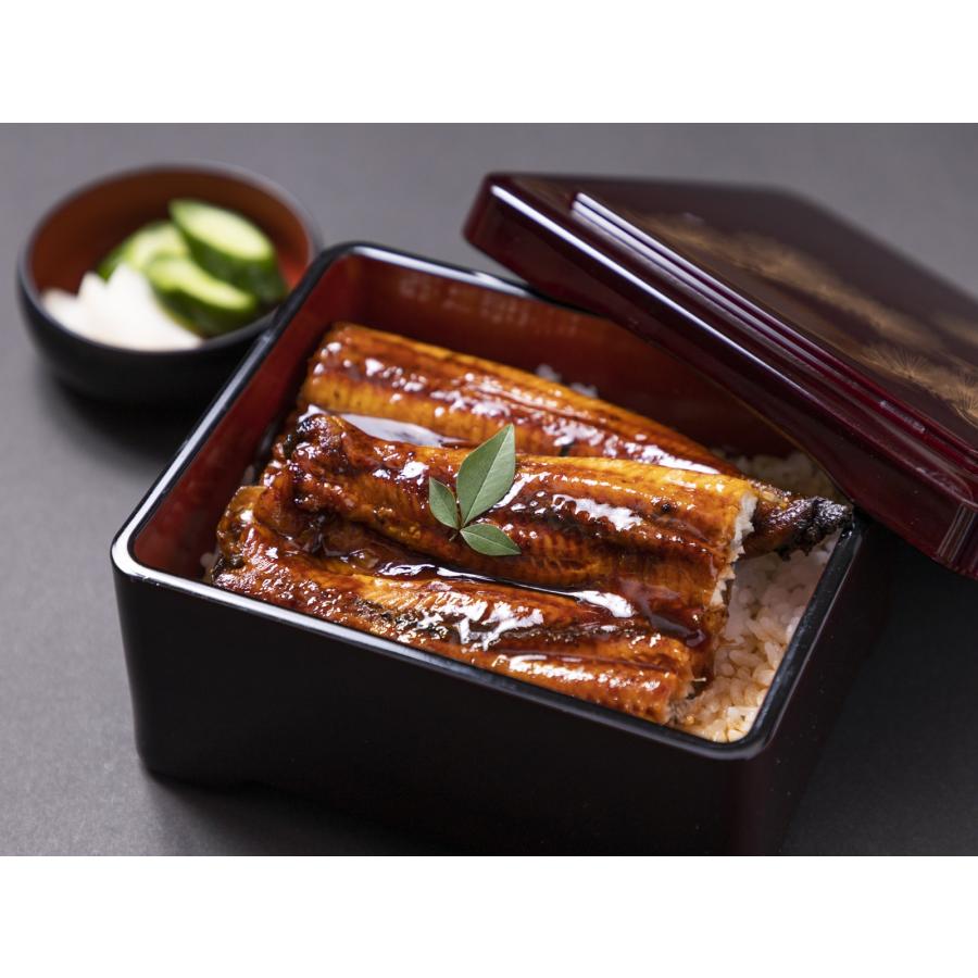 【業務用・仕入れ】うなぎ蒲焼 端材500g/20パック入り（中国産）｜株式会社ウナソカゴ　うなぎ蒲焼　中国産 ふわふわうなぎ　端材　500ｇ　20パック/10kgs/ケー_9
