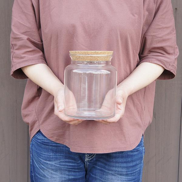 テラリウム ケース ガラス ポット スポットライト 17cm 苔 多肉 瓶 電気 コケリウム ガラス 容器 観葉植物 コケ 多肉植物 寄せ植え シンプル ナチュラル 1 Viewgarden 3016 Shopooo By Gmo 通販 Yahoo ショッピング