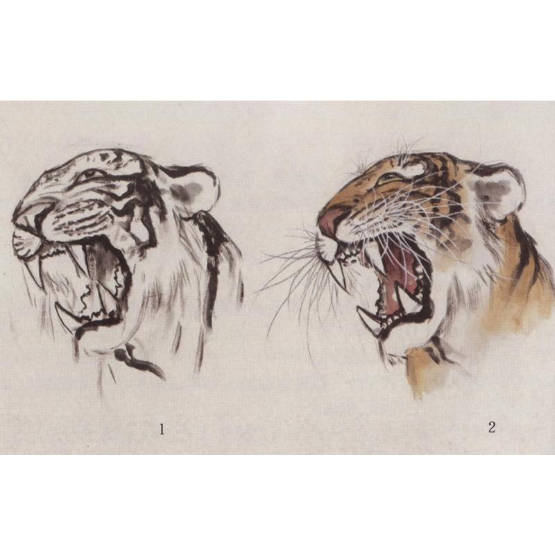 とら 虎 水墨画の描き方 名家から学ぶ 国画大課堂 中国絵画 老虎 名家教 3 画 国画大 358 堂 1 Xhscjp0127 1006 Shopooo By Gmo 通販 Yahoo ショッピング