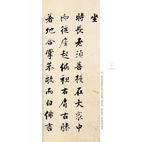 張即之書金剛経 中国語書道/张即之书金&amp