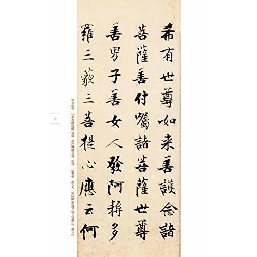 張即之書金剛経 中国語書道/&amp;amp;#24352;即之&amp