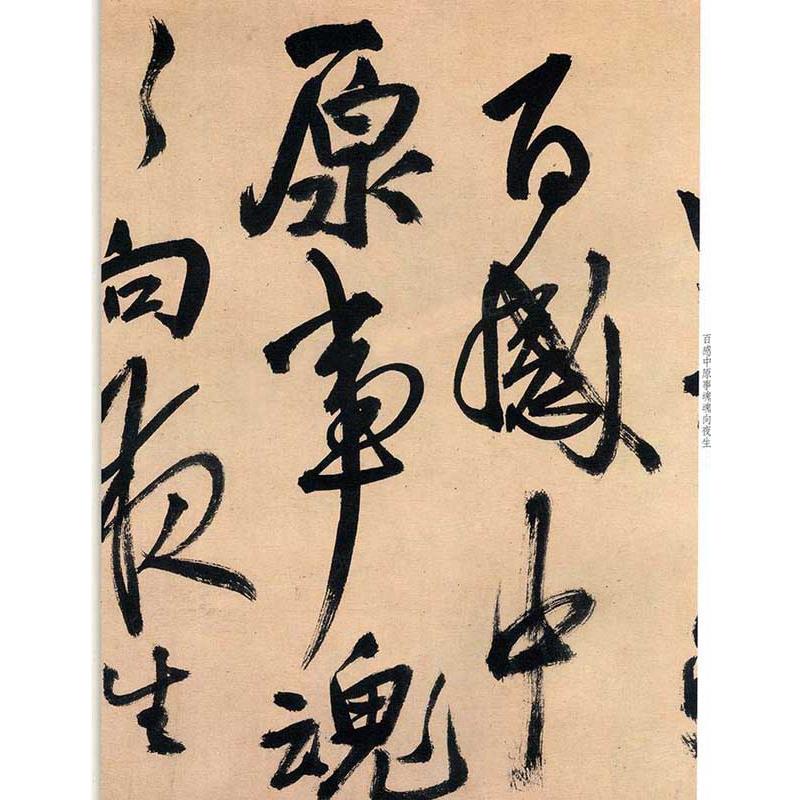 王鐸行書五言律詩 原色拡大版中国著名碑帖 第八輯 中国語書道/王