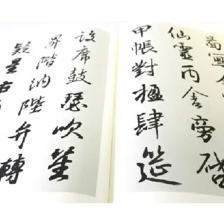 王義之 千字文 中国歴代書道名家作品集字 中国語書道/王羲之 千 王義之 千字文 中国歴代書道名家作品集字 中国語書道/王羲之 千