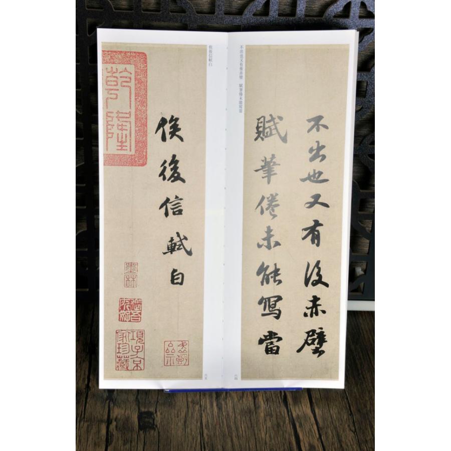 蘇軾 黄州寒食詩帖 赤壁賦 帰去来辞 中国書跡名品 臨書カード/苏