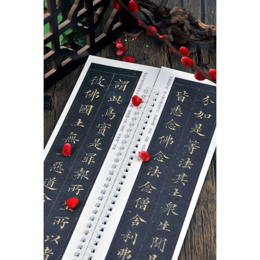 林則徐 真書無量寿経 カード式近距離臨書手本 中国語書道/林则徐