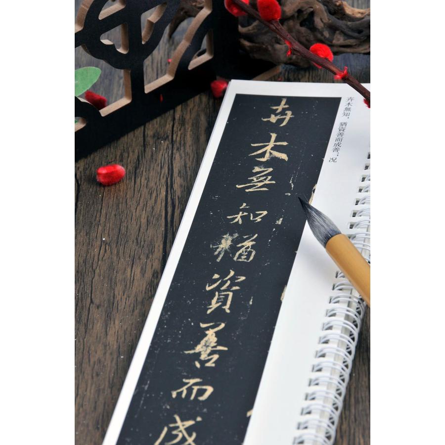 王羲之 集字聖教序(一、二) カード式近距離臨書手本 中国語書道/王羲之