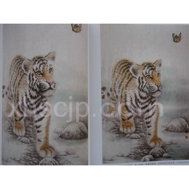 虎 工筆動物画法 水墨とら絵の描き方 中国絵画/虎 工〓动物画法