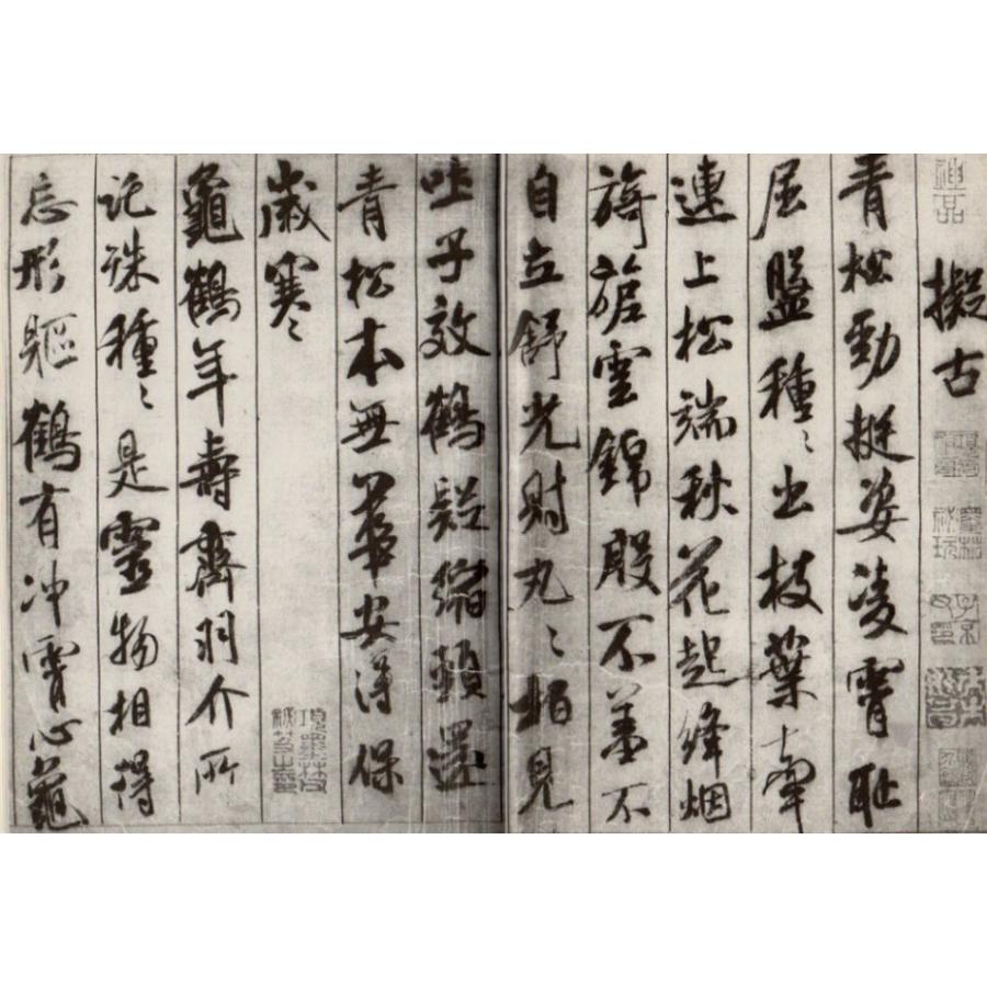 米フツ行書入門 書道自習叢帖 中国語書道/米芾行书入
