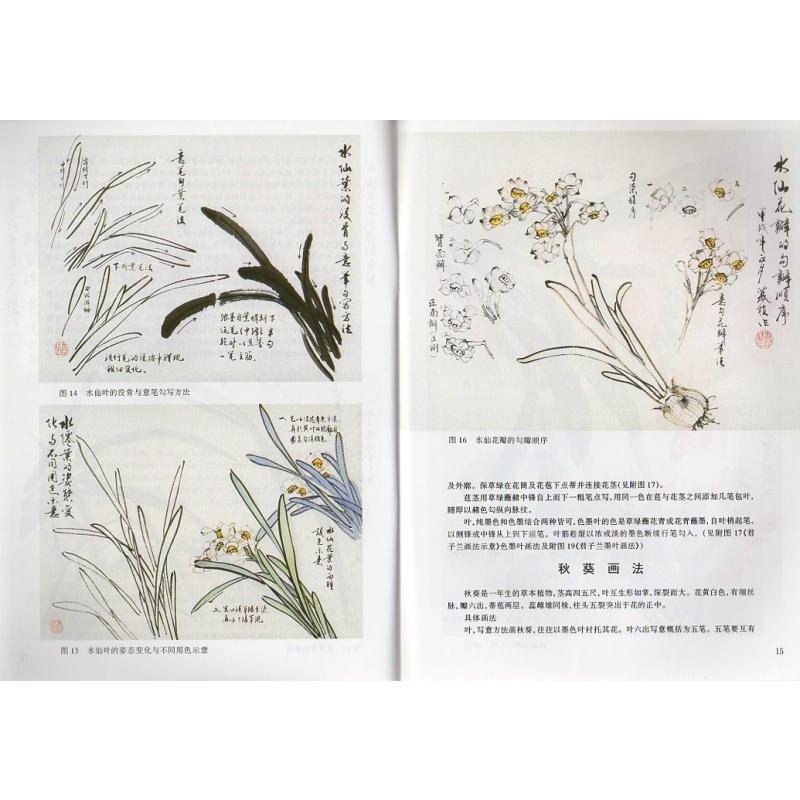 草本花卉　写意花鳥画技法　水墨画の描き方　中国絵画/草本花卉　写意花&#40479;画技法 |  | 01