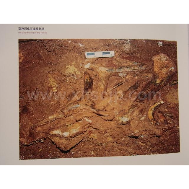中国十年百大考古新発見(上下) 考古専門書 中国語版書籍/中国十年百大考古新\u0026#21457;\u0026#29616;(上下)の画像