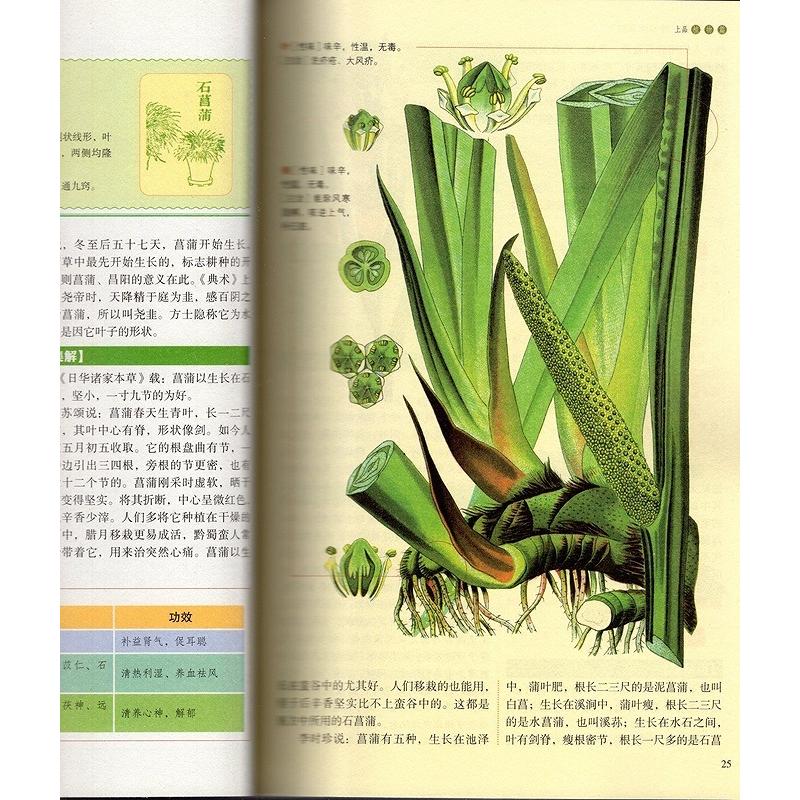 図解 神農本草経 中国漢方薬経典 中医薬草図鑑 中国語書籍/彩色 図解 神農本草経 中国漢方薬経典 中医薬草図鑑 中国語書籍/彩色