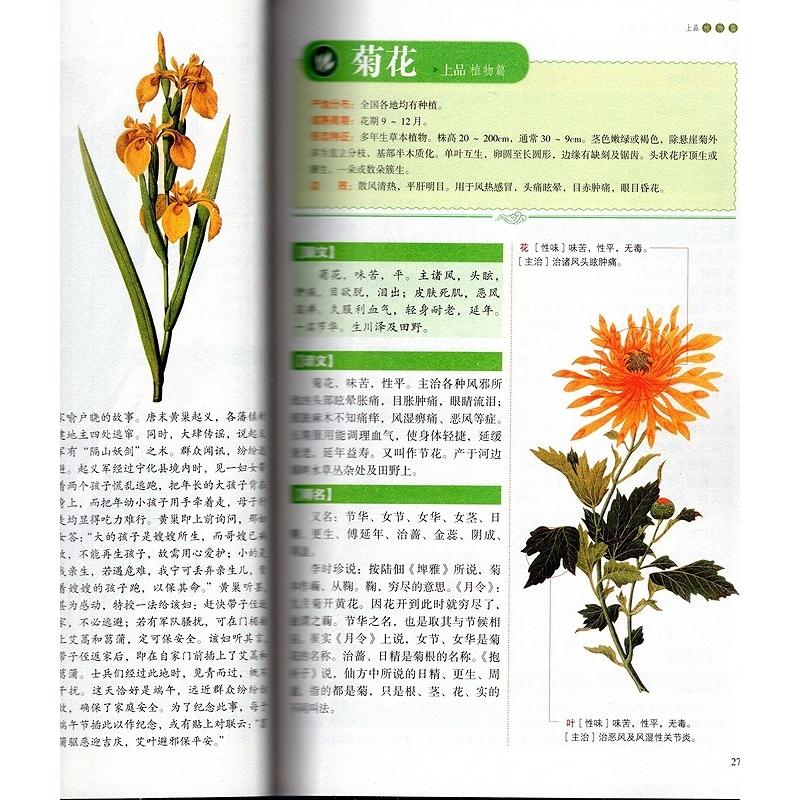 図解 神農本草経 中国漢方薬経典 中医薬草図鑑 中国語書籍/彩色 図解 神農本草経 中国漢方薬経典 中医薬草図鑑 中国語書籍/彩色