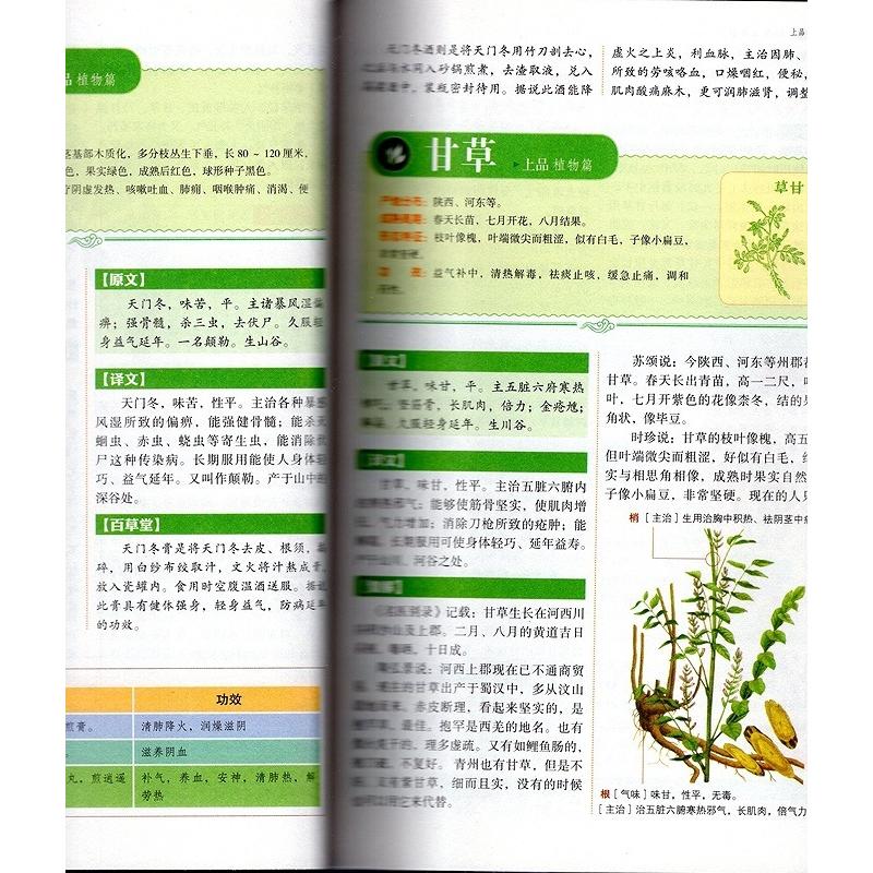 図解 神農本草経 中国漢方薬経典 中医薬草図鑑 中国語書籍/彩色 図解 神農本草経 中国漢方薬経典 中医薬草図鑑 中国語書籍/彩色