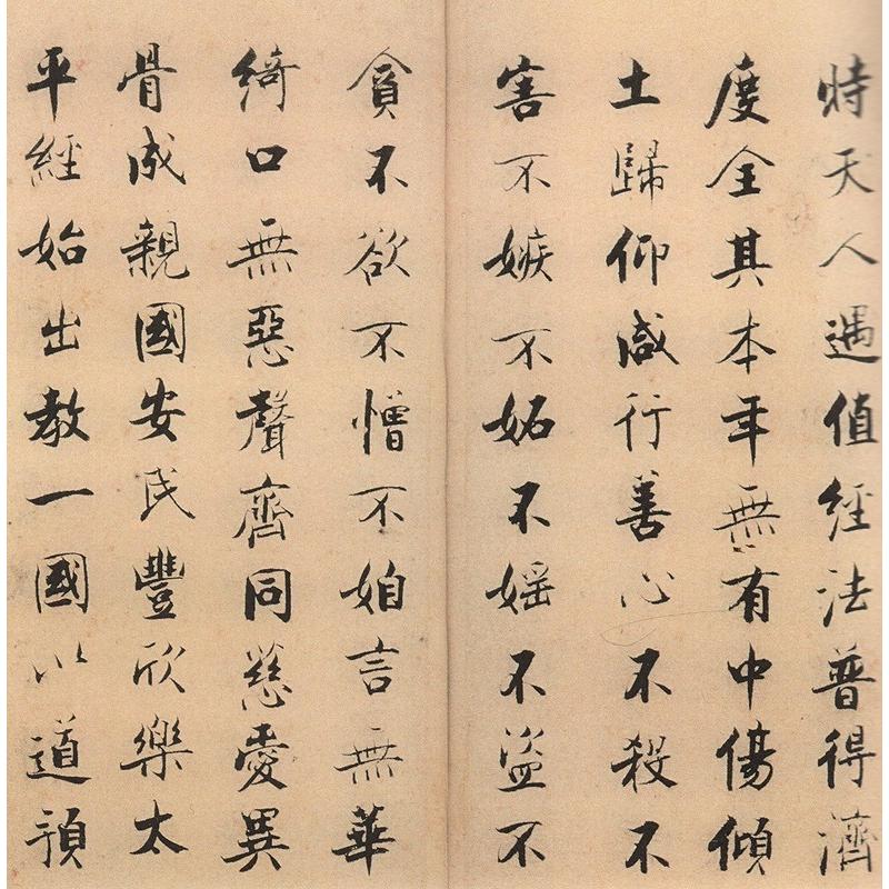 張即之 度人経 歴代名家碑帖経典 中国語書道/张即之 度人经