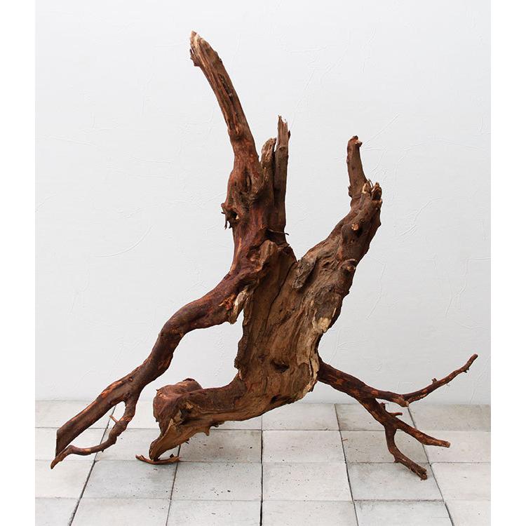 特価商品 Uws Material Market Elephant Wood Xxl エレファントウッド 厳選流木 Ew2111 51 大型送料 クリアランス卸値 Kvtt Com Au